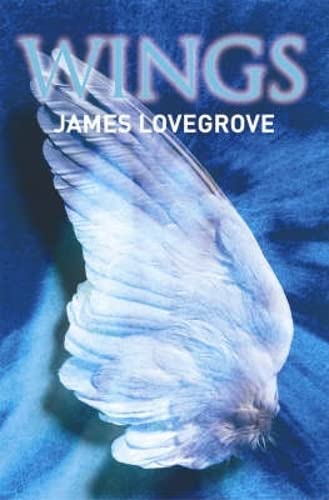 Wings book cover