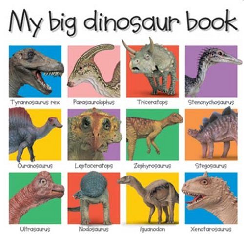 Cover of My big dinosaur book
