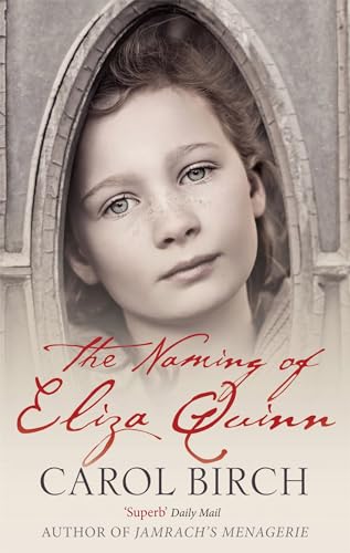 The Naming of Eliza Quinn book cover