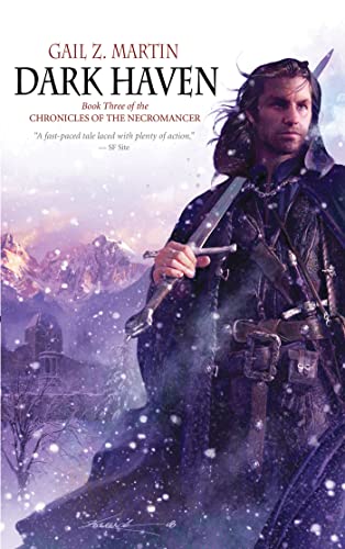 Dark Haven book cover