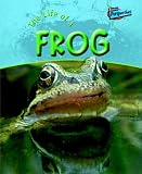 Amazon cover image