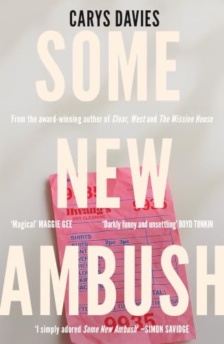 Some New Ambush book cover