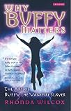 Why Buffy Matters The Art Of Buffy The Vampire Slayer