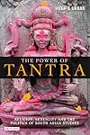 The Power of Tantra: Religion, Sexuality and the Politics of South Asian Studies (Library of Modern Religion)