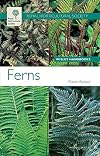 Ferns