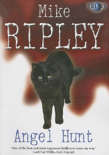 Angel Hunt book cover