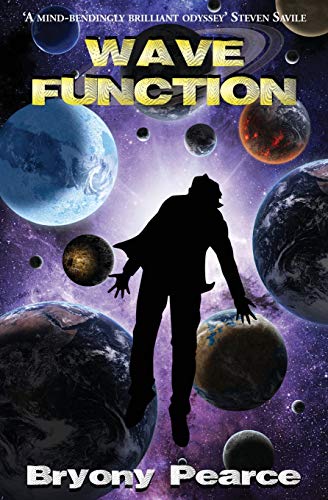Wavefunction book cover
