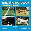 Exercising Your Puppy: a gentle & natural approach (Gentle Dog Care Series)