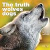 The Truth About Wolves and Dogs: Dispelling the Myths of Dog Training