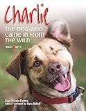 Charlie The Dog Who Came In From The Wild