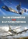 Fw 190 Sturmböcke vs B-17 Flying Fortress: Europe 1944–45 (Duel)