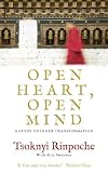 Open Heart Open Mind A Guide To Inner Transformation