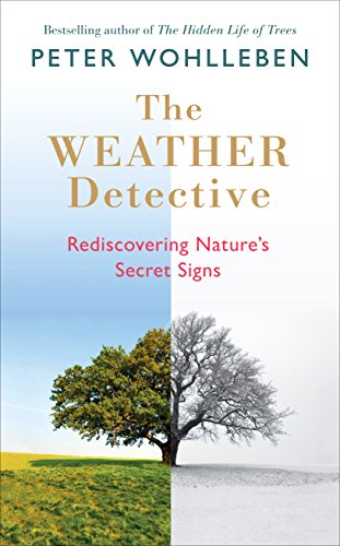The Weather Detective book cover