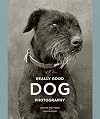 Really Good Dog Photography