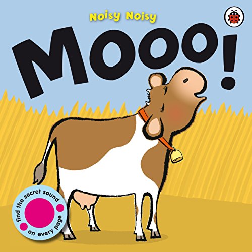Cover of Noisy Noisy