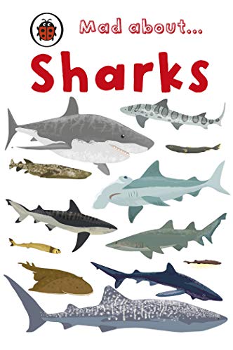 Mad About... Sharks book cover