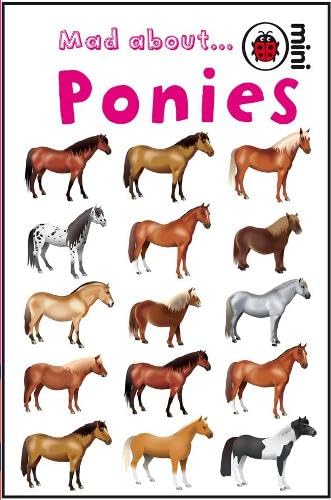 Mad About... Ponies book cover