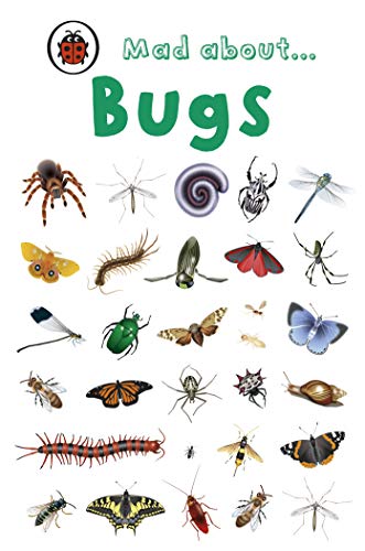 Mad About... Bugs book cover