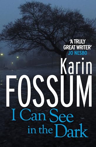 I Can See in the Dark book cover
