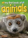 Amazon cover image