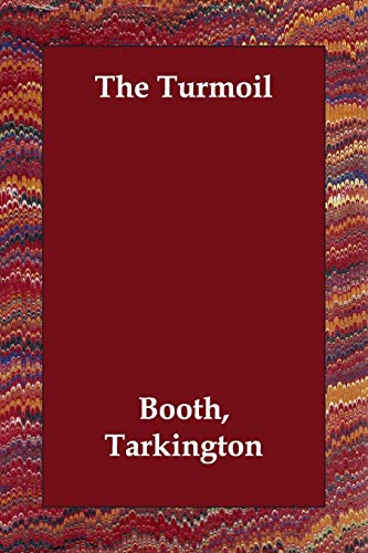 The Turmoil book cover