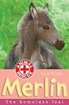 Merlin: The Homeless Foal