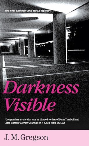 Darkness Visible book cover