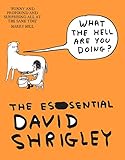 What The Hell Are You Doing The Essential David Shrigley