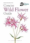 New Holland Concise Wild Flower Guide (New Holland Concise Guides)
