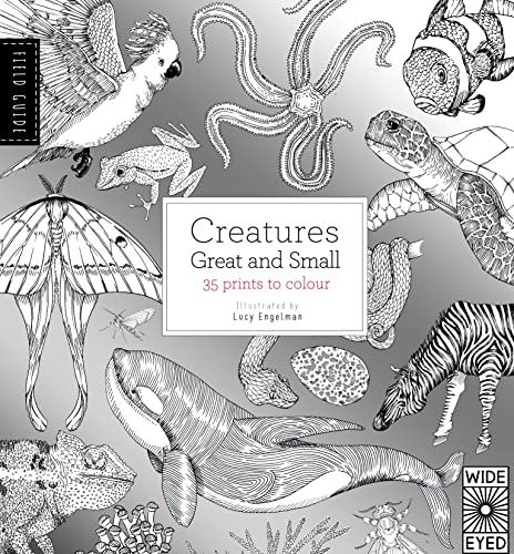 Cover of Field Guide