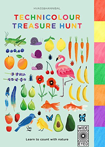 Cover of Technicolour Treasure Hunt