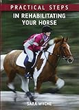 Practical Steps In Rehabilitating Your Horse