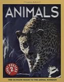 Amazon cover image