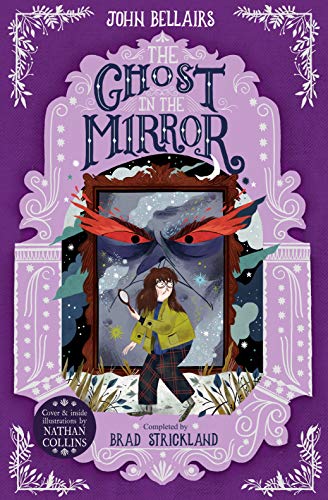 The Ghost in the Mirror book cover