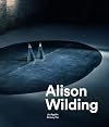 Alison Wilding
