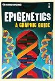 Introducing Epigenetics A Graphic Guide