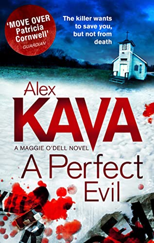 A Perfect Evil book cover