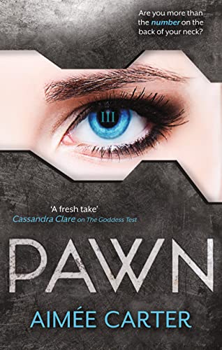 Pawn book cover