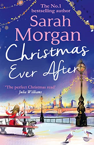 Christmas Ever After / One Enchanted Moment book cover