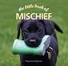 Little Book of Mischief