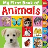 Amazon cover image