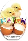 Hatch