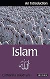 Islam: An Introduction (I.B.Tauris Introductions to Religion)