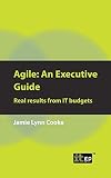 Agile an executive guide : real results from IT budgets
