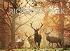Richmond Park