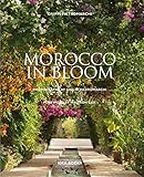 Morocco In Bloom