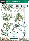 Tree Name Trail: A Key to Common Trees (Field Studies Council Occasional Publications)