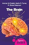 The Brain: A Beginner's Guide (Beginner's Guides)