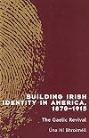 Building Irish Identity in America, 1870-1915: The Gaelic Revival (New Irish History)
