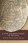 A Star Chamber Court in Ireland: The Court of Castle Chamber, 1571-1641 (Irish Legal History Society)